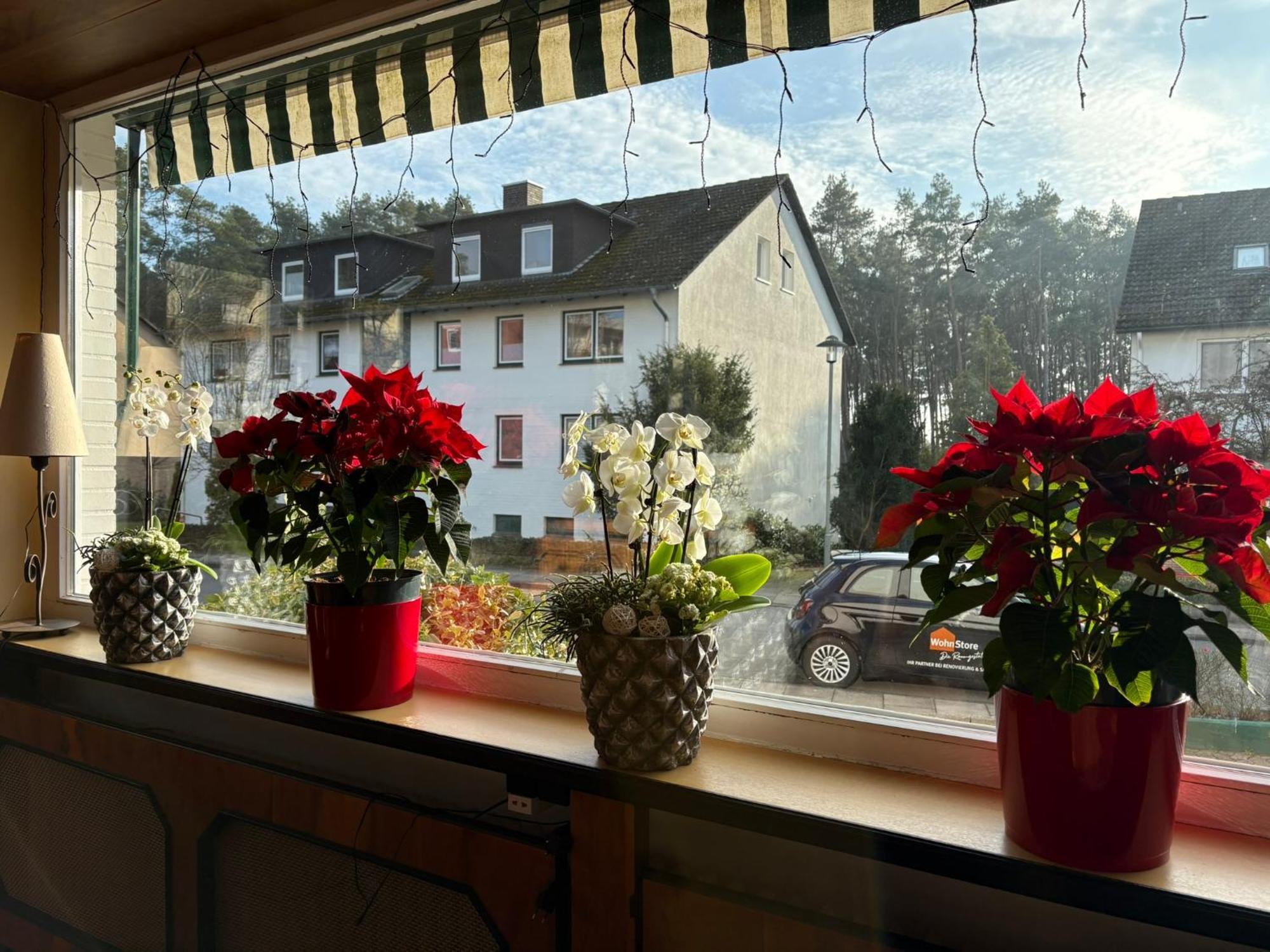 Hotel Kieferneck Bad Bevensen Buitenkant foto
